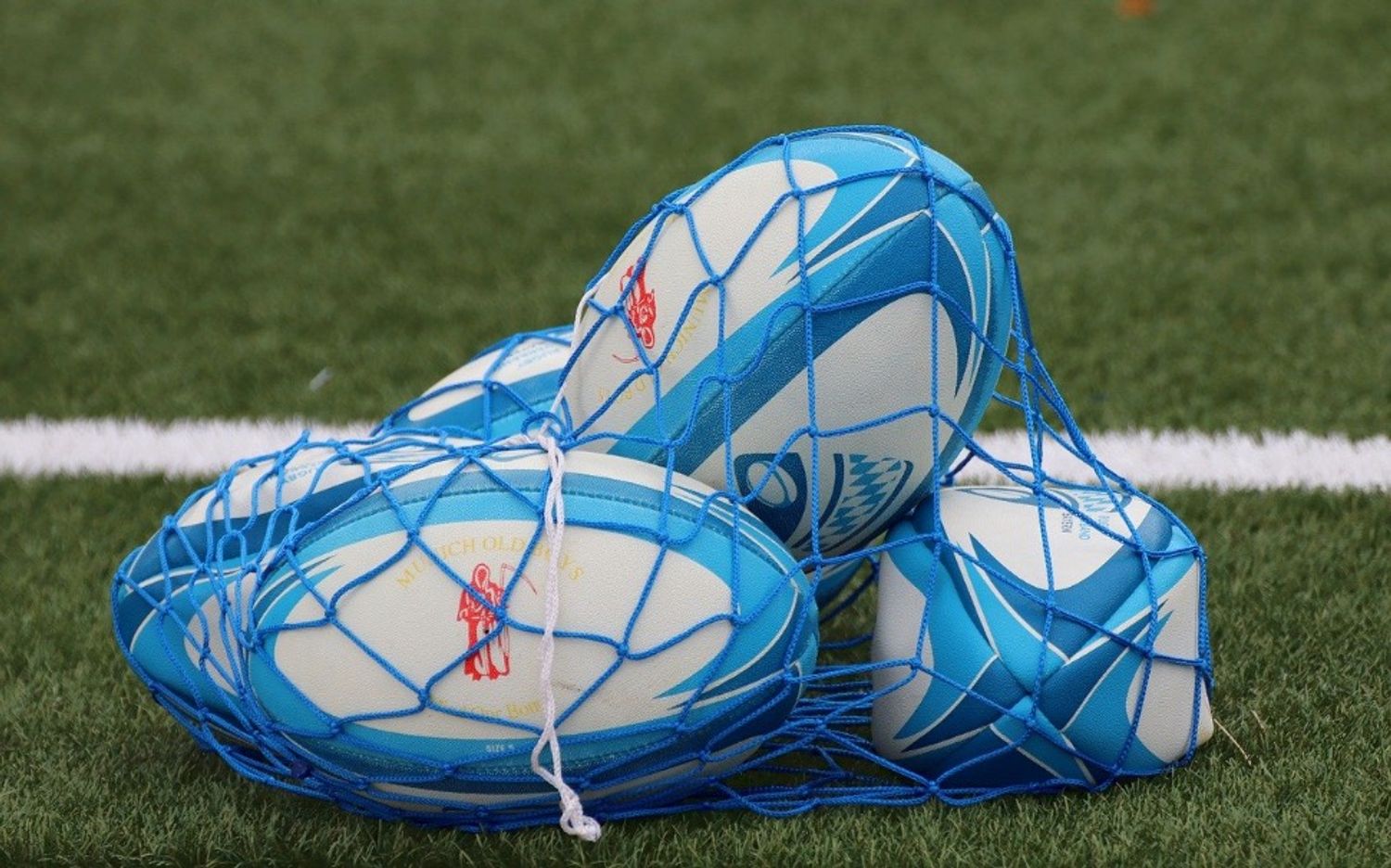 Image d'illustration. Des ballons de rugby.