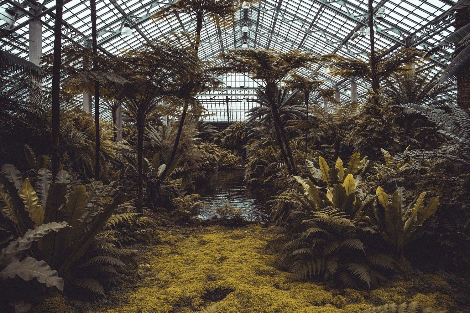 VOLTAGE