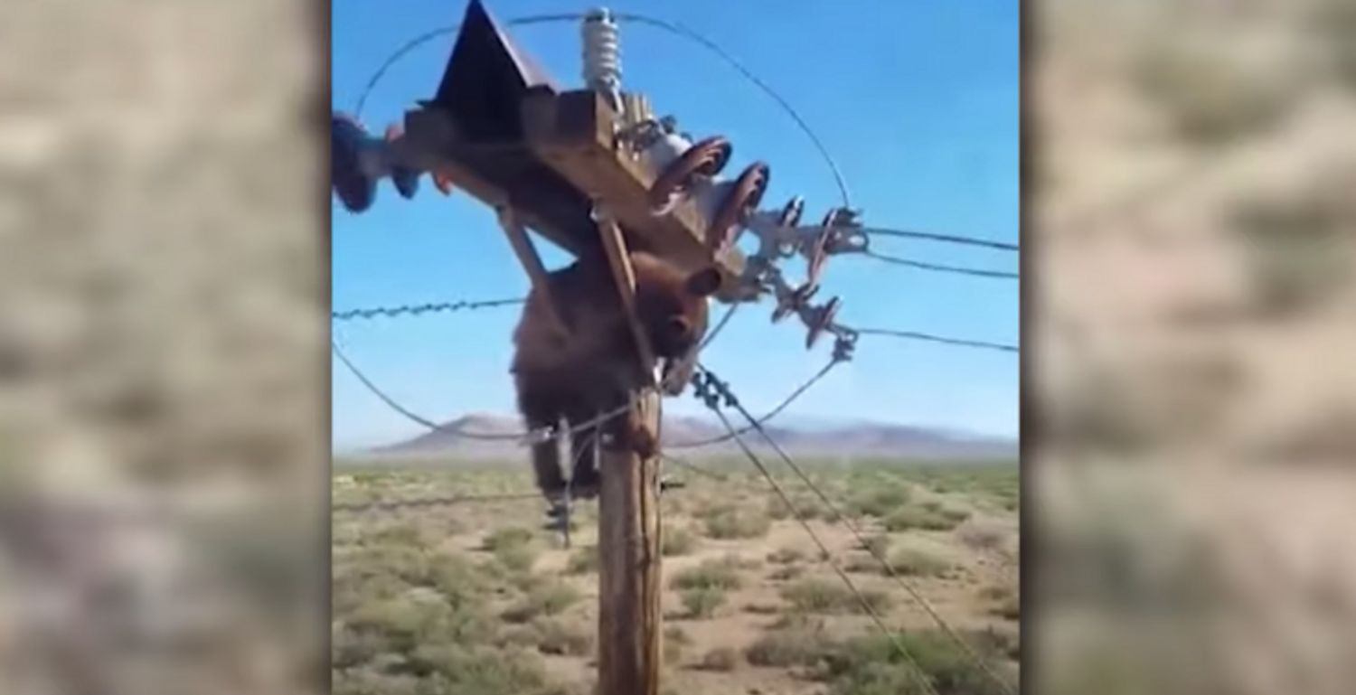 VOLTAGE
