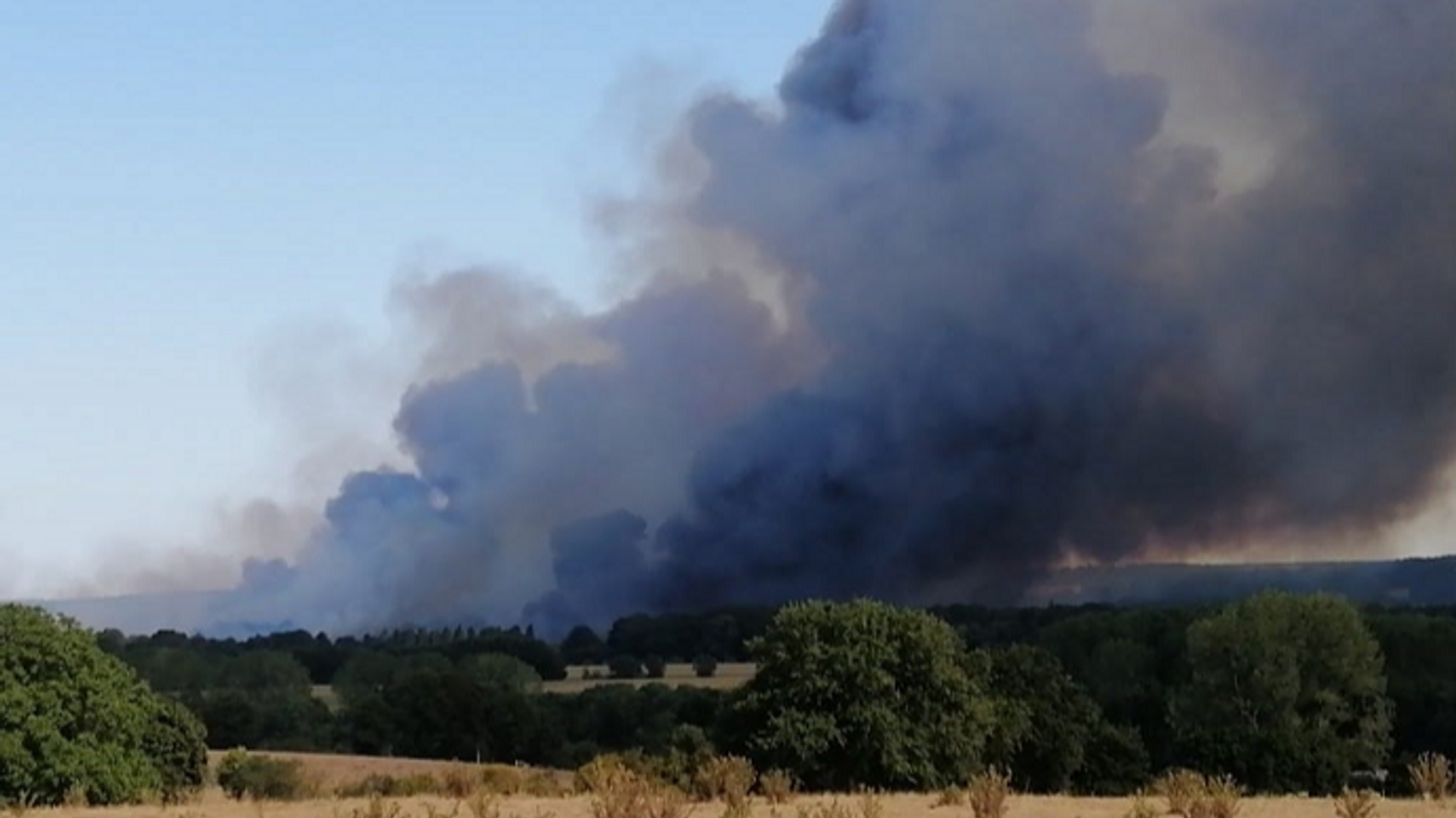 Fercé-sur-Sarthe : au moins 70 hectares de sous-bois ravagés par les flammes