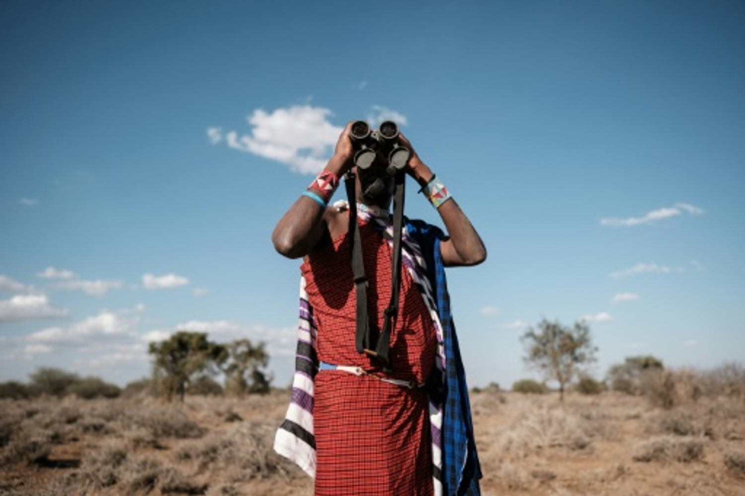 Kenya: monétiser oiseaux ou girafes pour mieux protéger humains et nature
