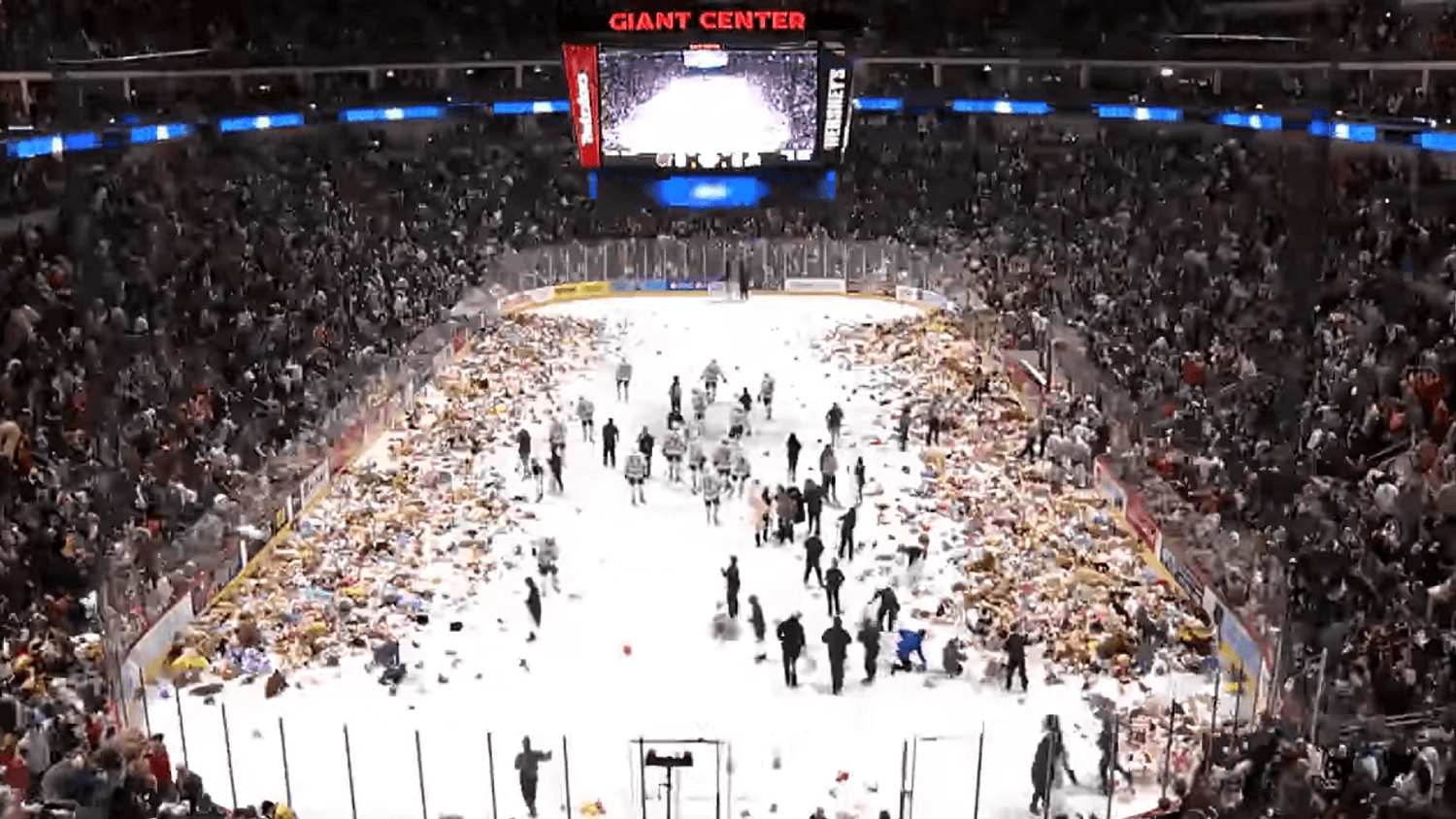 Plus de 50 000 peluches jetées sur la glace lors d'un match de hockey