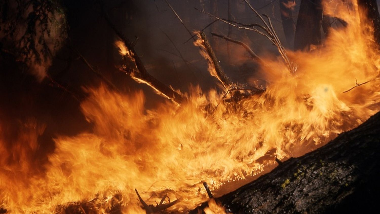 Dordogne : important feu de forêt vers Parcoul-Chenaud