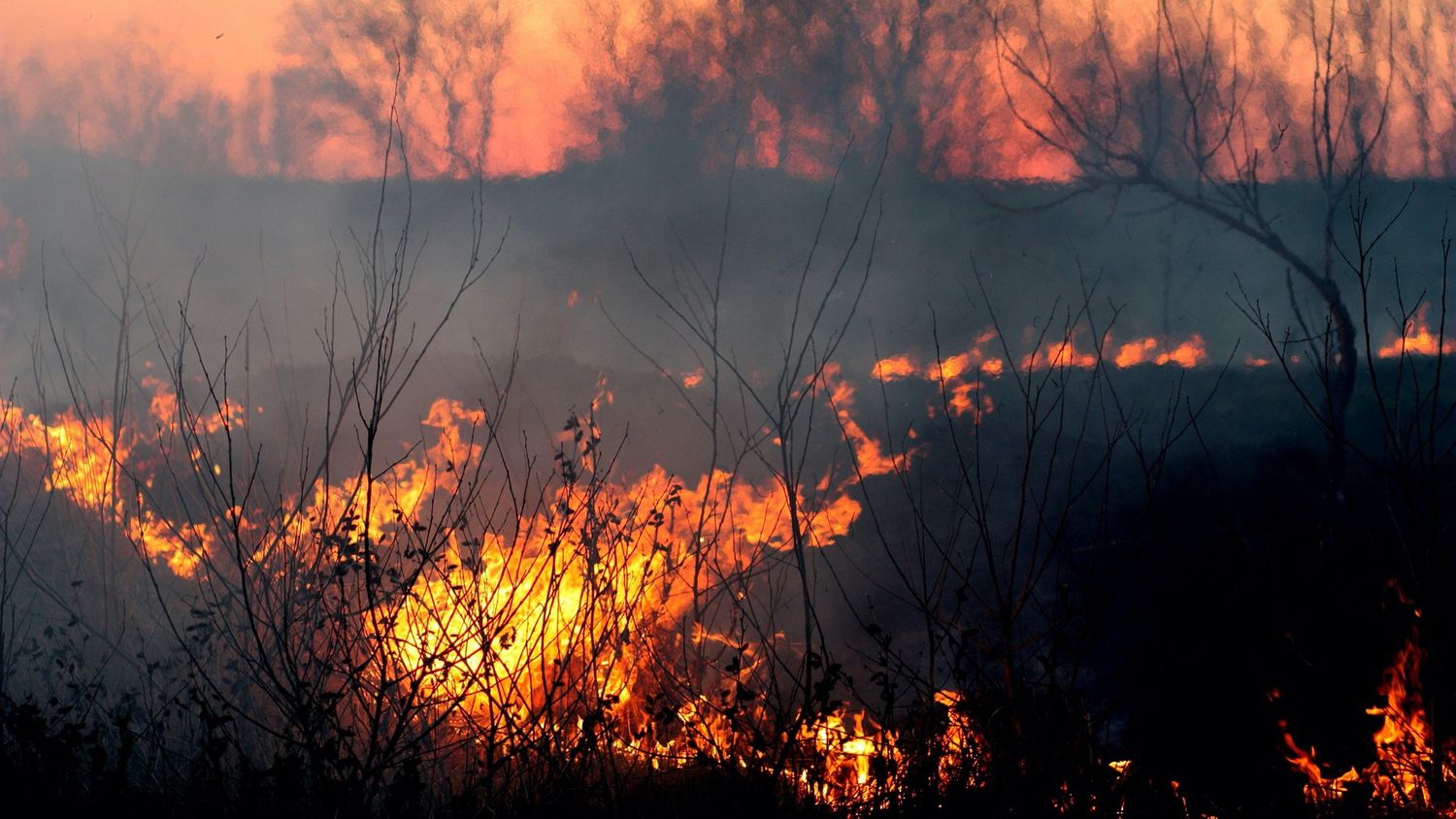 Le Sud-Gironde brûle, encore une fois