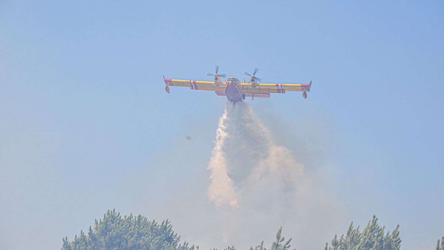 Dordogne : 110 hectares brûlés dans la forêt de la Double