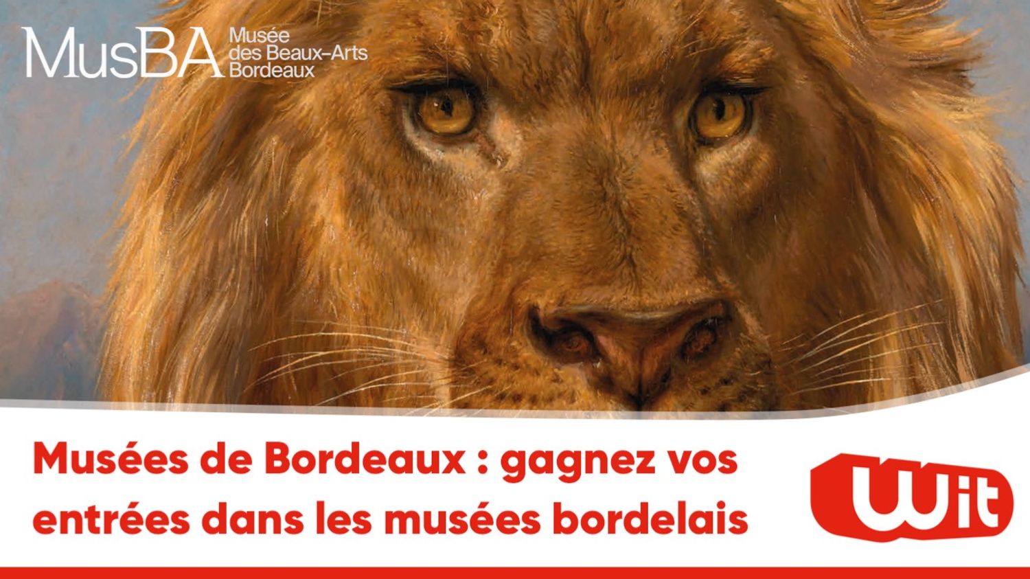 Musées de Bordeaux : gagnez vos entrées dans les musées bordelais