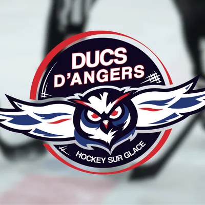 Gagnez vos places pour le match de pré-saison entre les Ducs...