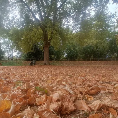 L'automne est-il déjà arrivé en Corrèze ?