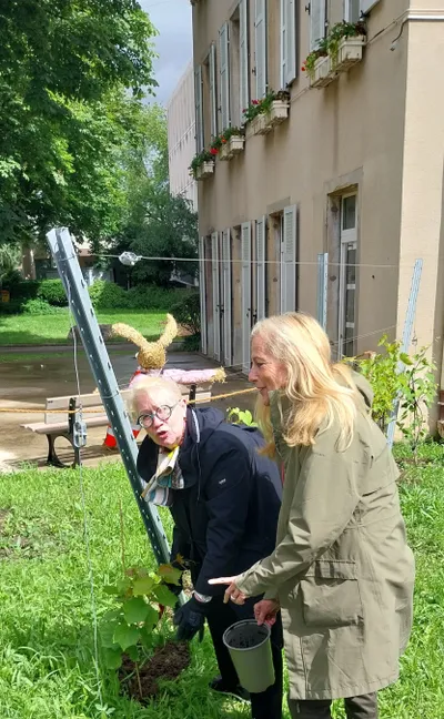 jardin mairie mulhouse