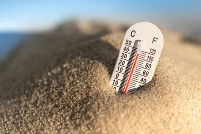 canicule