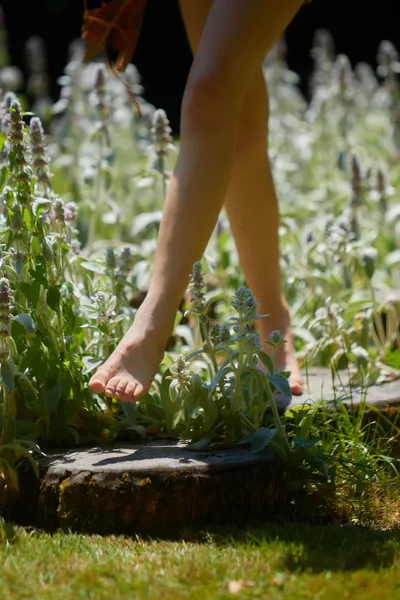 Fête du Sentier Pieds-Nus - Parc de Wesserling