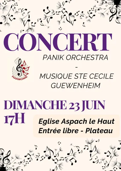 Concert du Panik Orchestra