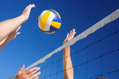 Volley-ball 