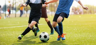 Foot 