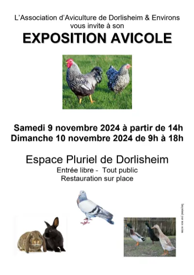 Exposition avicole