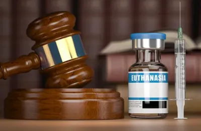Euthanasie 