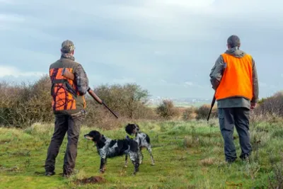 Chasse 