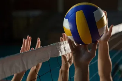 Volley-ball