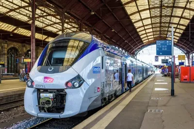 TER 