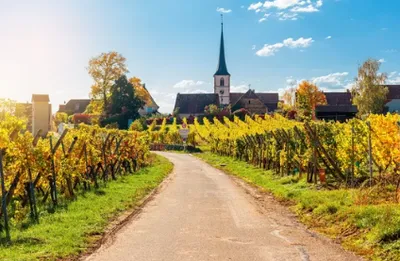 Mittelbergheim