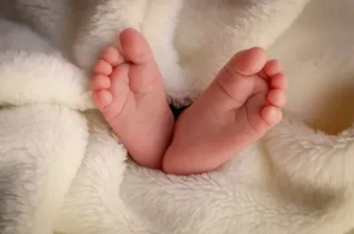 Bébés 