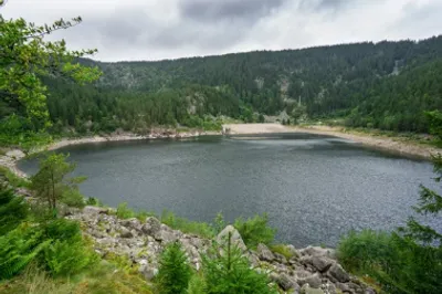 Lac noir 