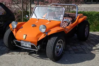 Buffalo Buggy