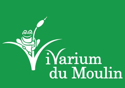 Le Festi z’Ailes, première édition organisée par le Vivarium du Moulin