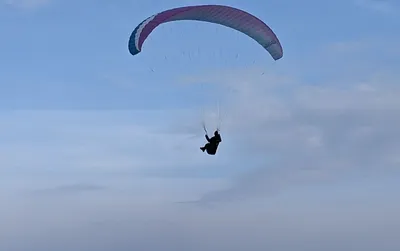 Une parapentiste coincée dans les arbres