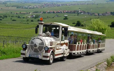 Le Train gourmand du vignoble revient dès le 4 juin