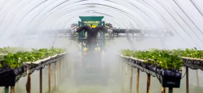 Excès de polluants dans les fruits et légumes