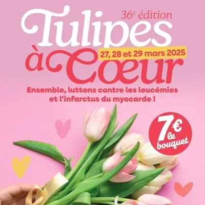 tulipes