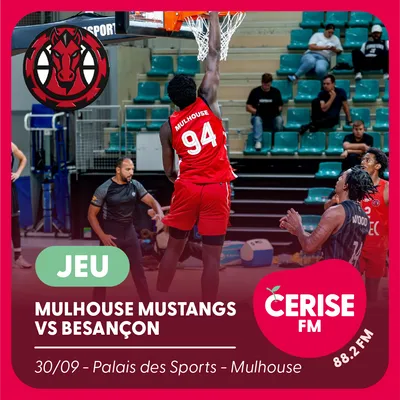 mulhouse mustangs