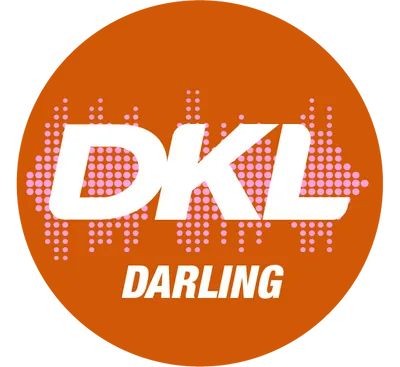 Logo Webradio Darling 2023