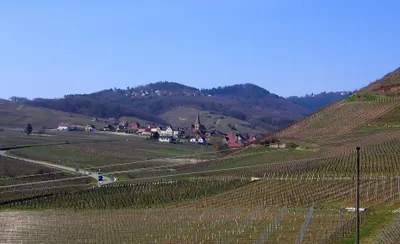 balade au Florimont