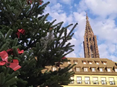 Cathédrale sapin Noël 2019 Strasbourg