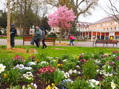 Matinée citoyenne : Nettoyage de printemps le samedi 6 avril à Niederbronn-les-Bains