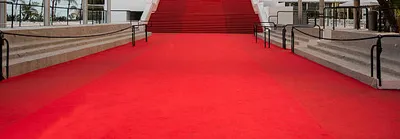 Coup d’envoi aujourd’hui du 77 ème Festival de Cannes