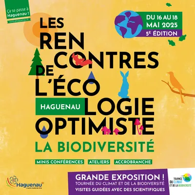 Rencontres