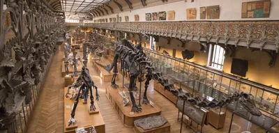 museum paris