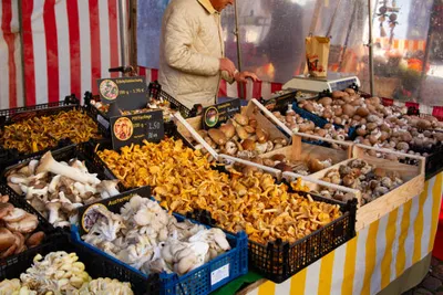 Vence : des champignons vénéneux vendus par erreur