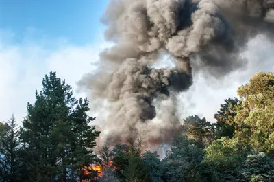 360 hectares sont partis en fumée dans les vallées de la Roya et de la Bévéra