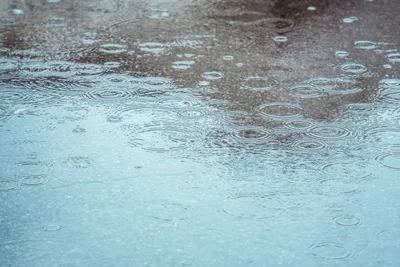 Les pluies du mois de mars ont bien rempli les nappes phréatiques dans les Alpes Maritimes