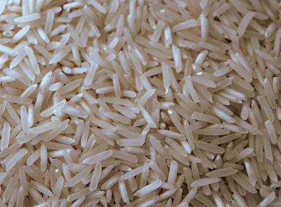 19/10/22 : Va-t-on manquer de riz dans les prochaines semaines ?