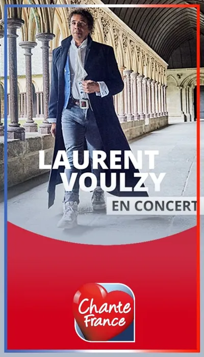 affiche laurent voulzy