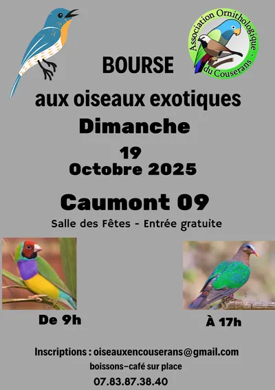 RDC RADIO COUSERANS
