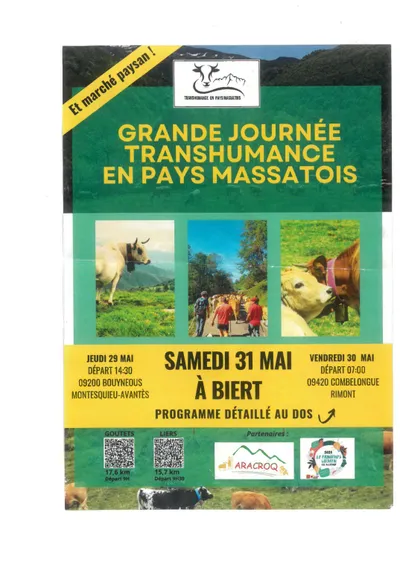 Grande journée transhumance en Pays massatois