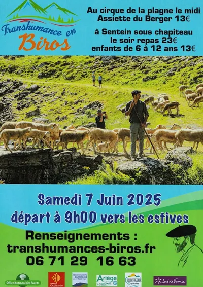 Transhumance en Biros