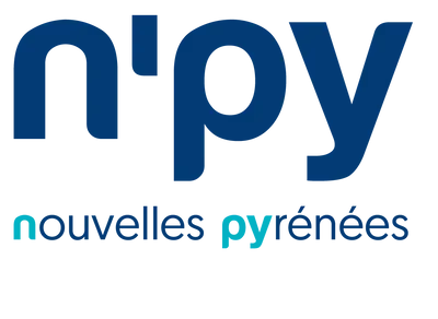 Logo NPY