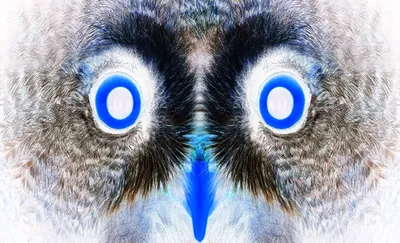 DELTA FM